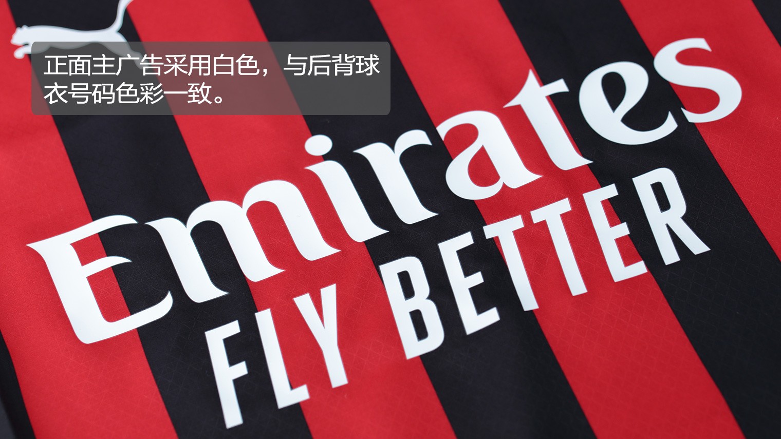 颂钟长鸣 颂钟长鸣